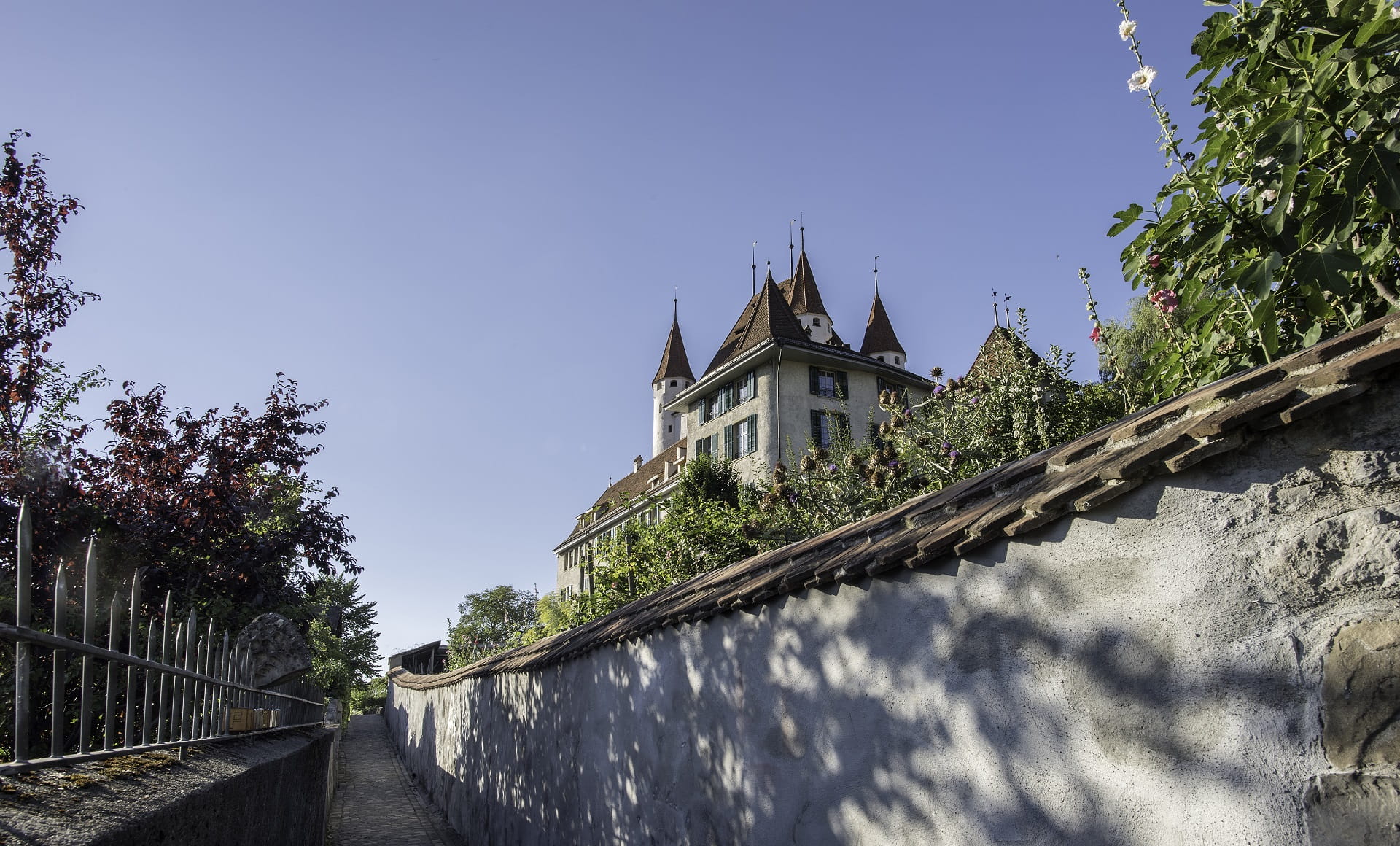 The Castles Of Lake Thun - Excursions By Train